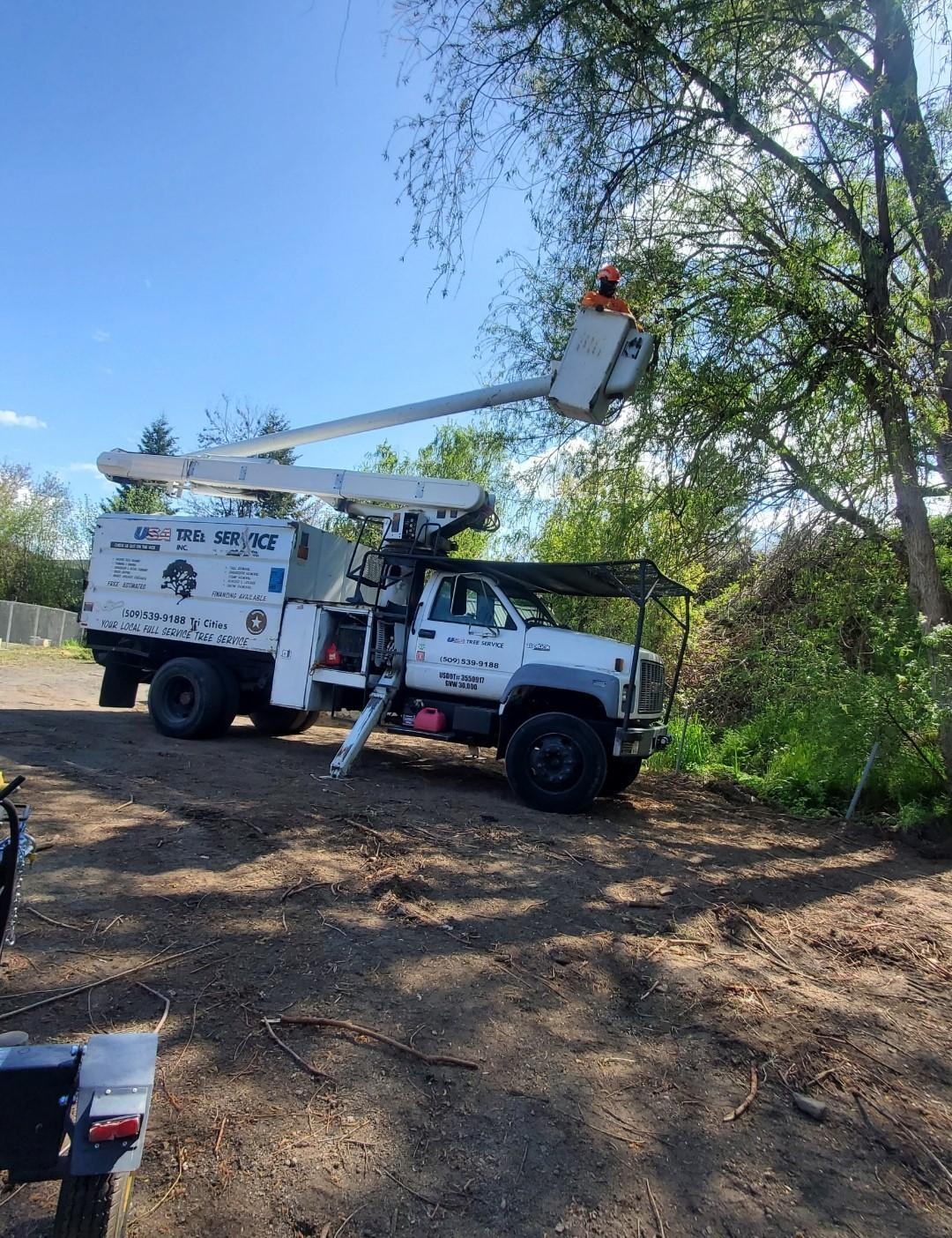 Usa tree service Image